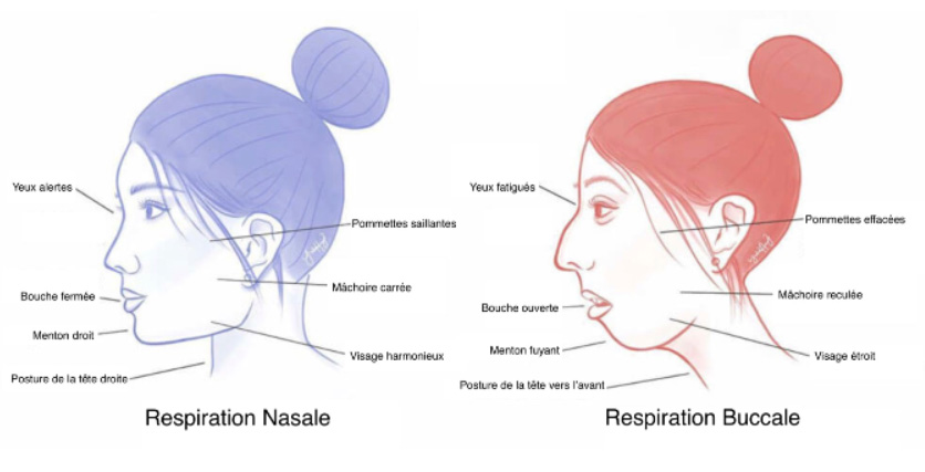 Personne pratiquant la respiration par le nez pour améliorer le système parasympathique, soutenir le système cardiovasculaire et favoriser la gestion du stress (breath).